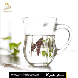 استکان پاشاباغچه مدل دم 55373 بسته 6 عددی کد 23159